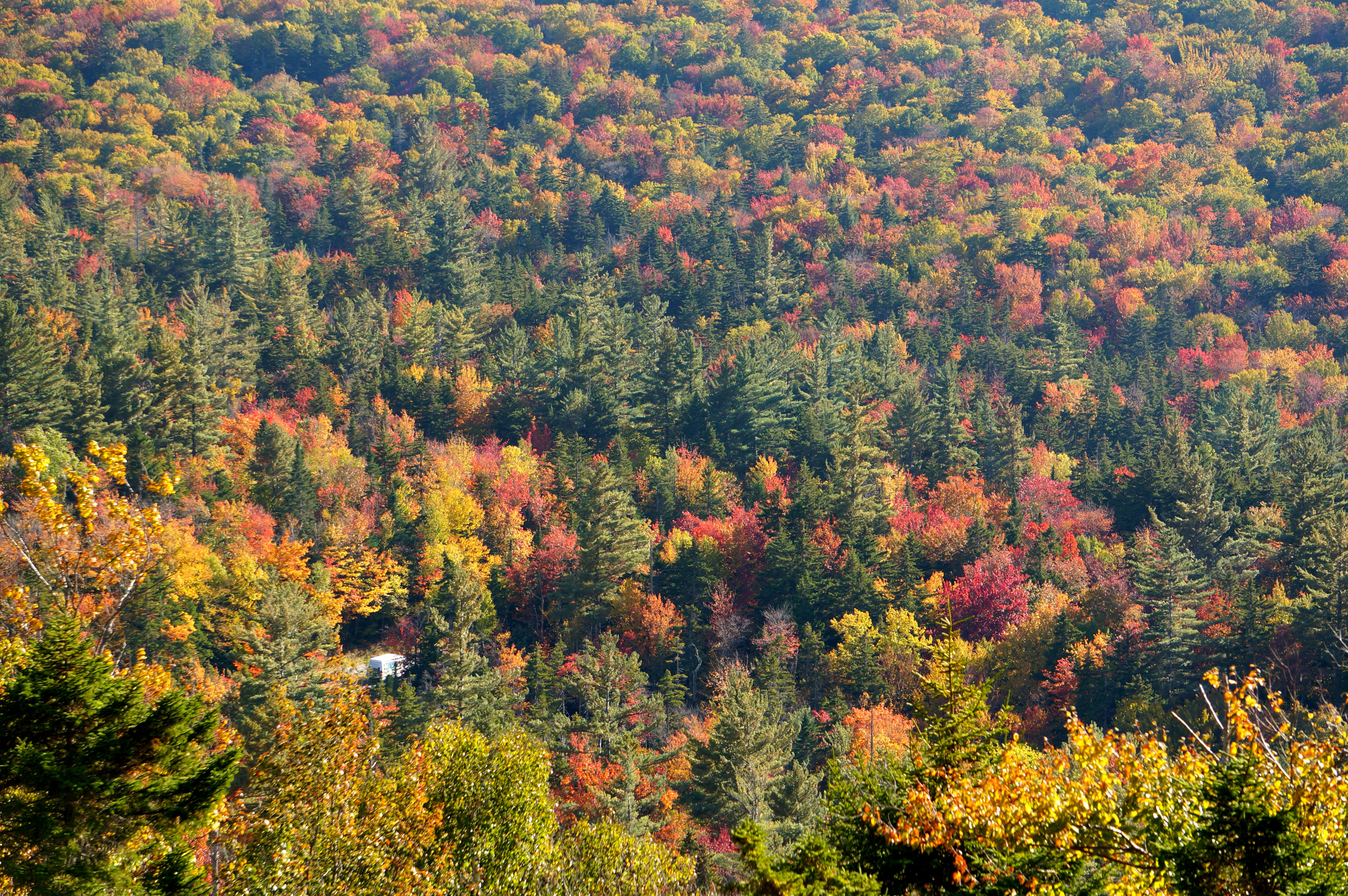White Mountains